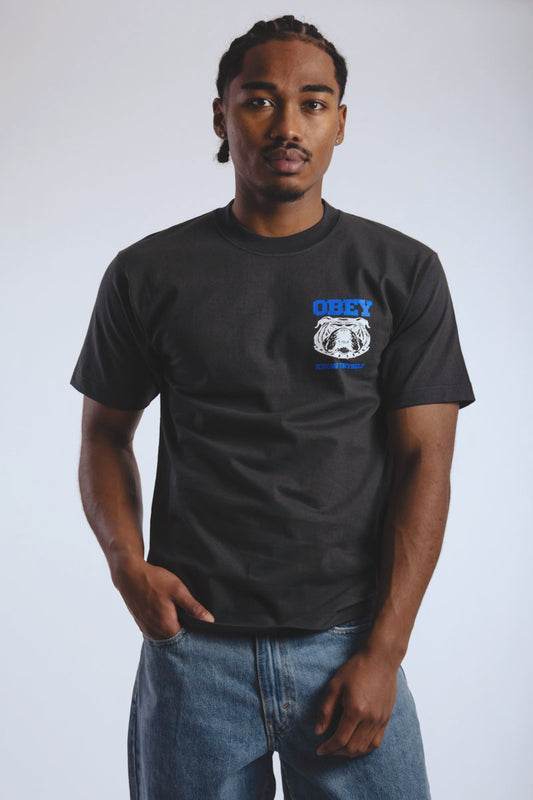 Know Thyself Heavyweight Tee - VBL