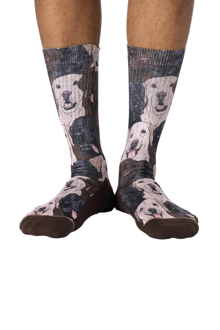 Labradors Retrievers Sock - BRN