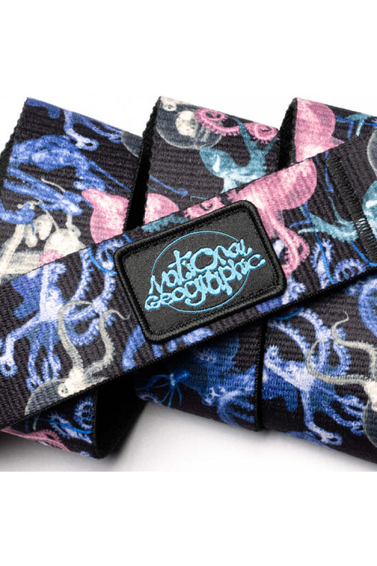 National Geographic Belt - SEC