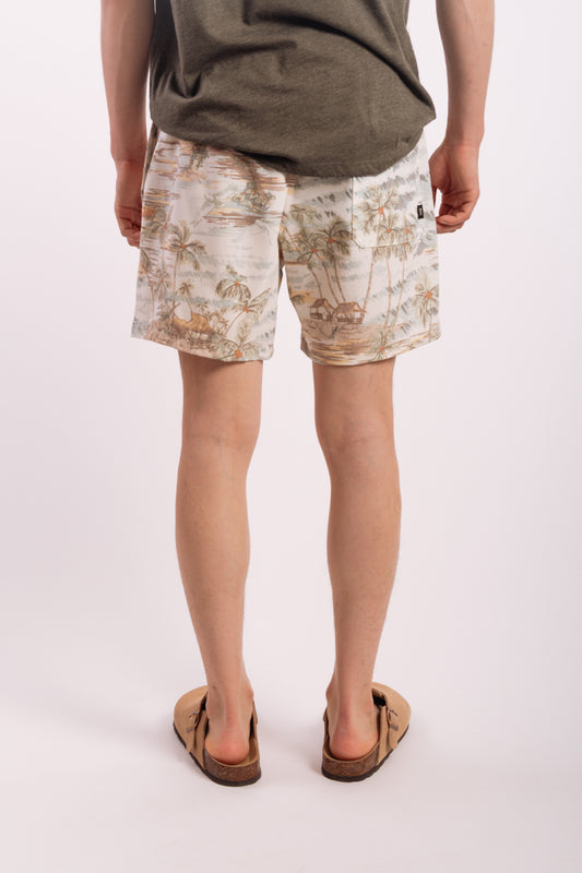 Shorey Boardshorts - UBL