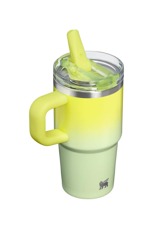 Quencher ProTour Flip Straw 20 oz - Atomic Gradient - ATG