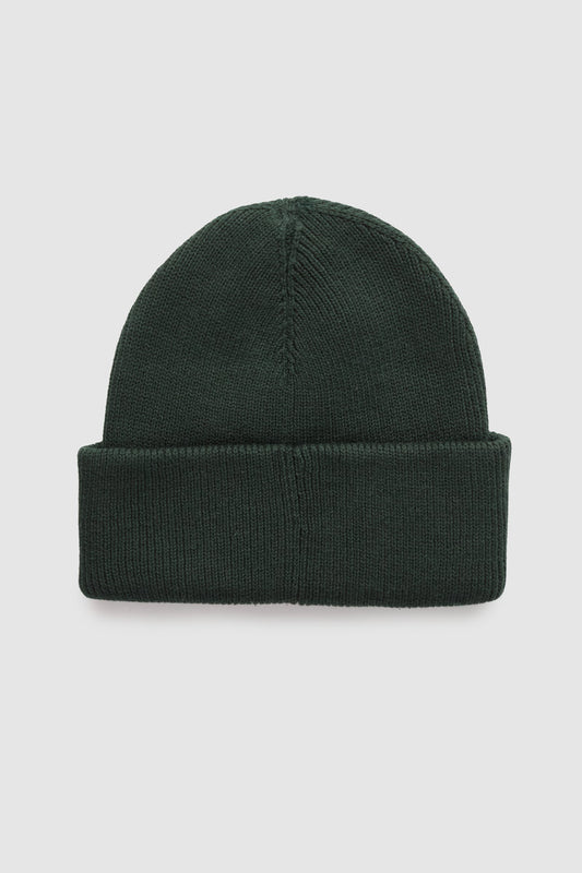 Alden Beanie - GRN