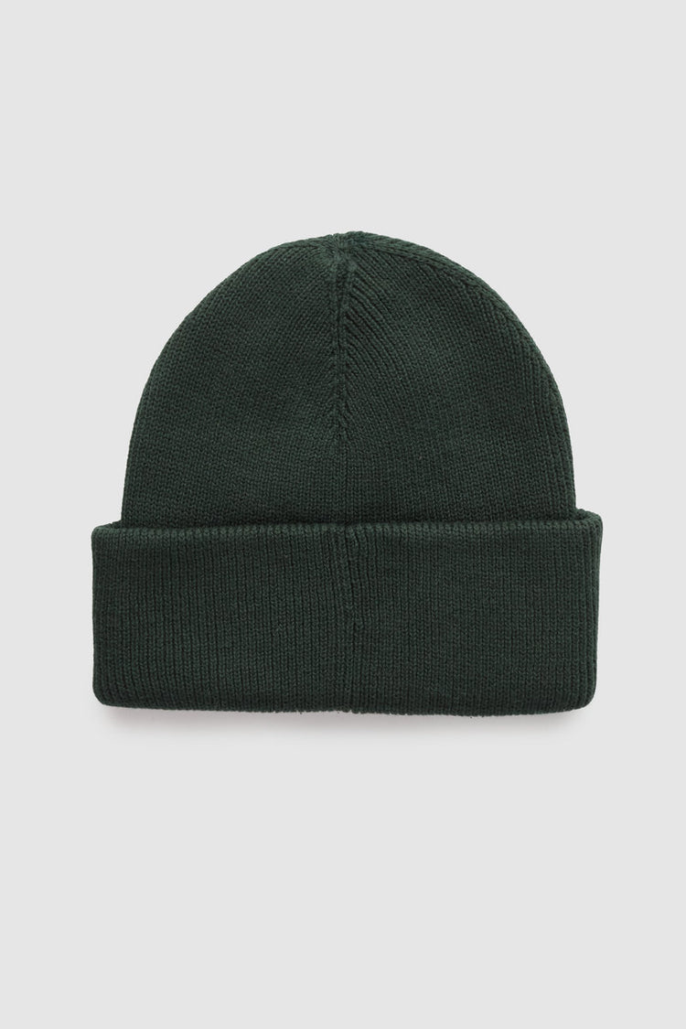 Alden Beanie - GRN