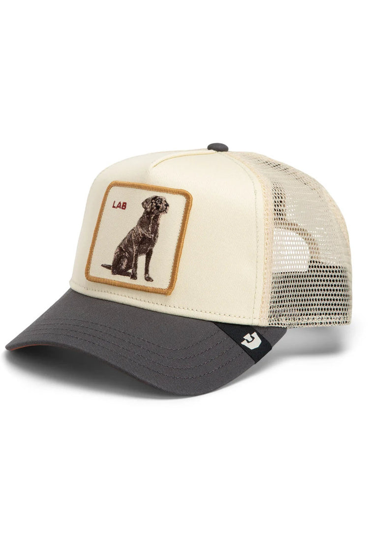 Unisex Shadow Lab Trucker Hat - WAX