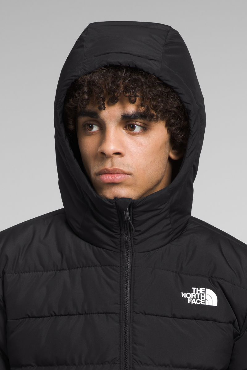 The north face men's aconcagua hoodie sale