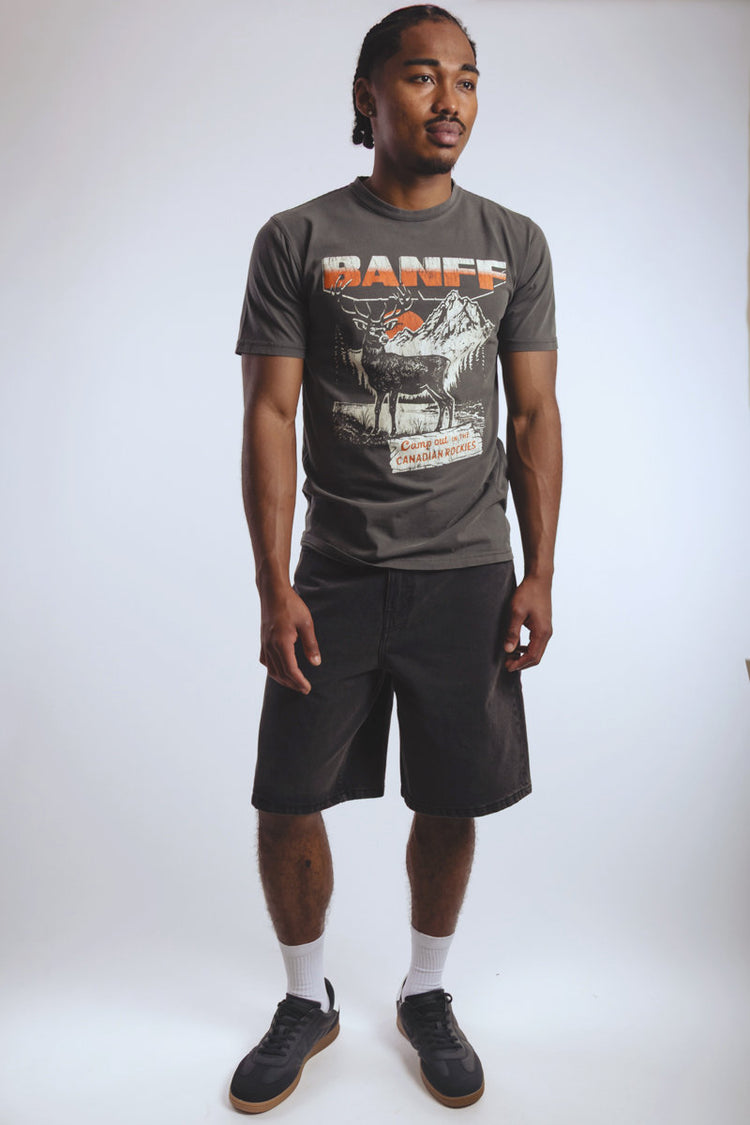 Banff Tee - VTB
