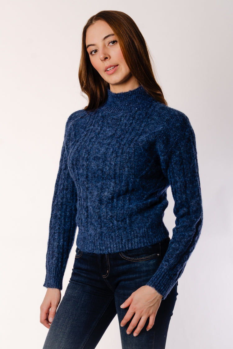 Erin Long Sleeve Turtle Neck Sweater - BLU
