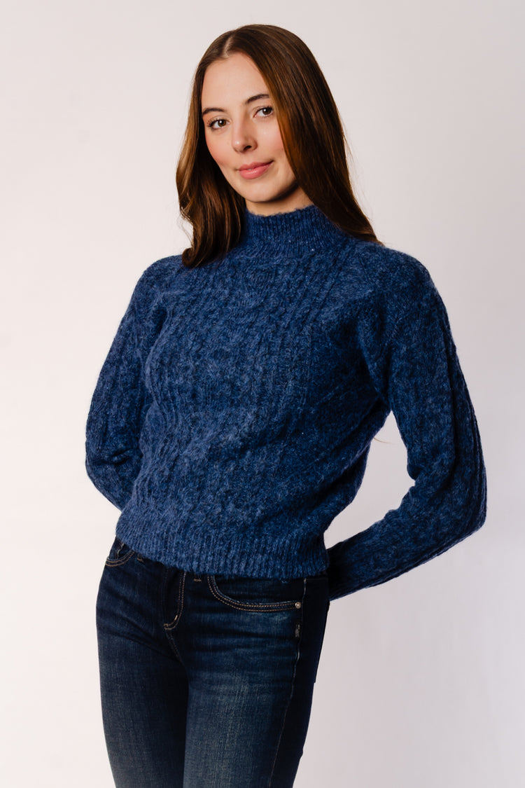 Erin Long Sleeve Turtle Neck Sweater - BLU