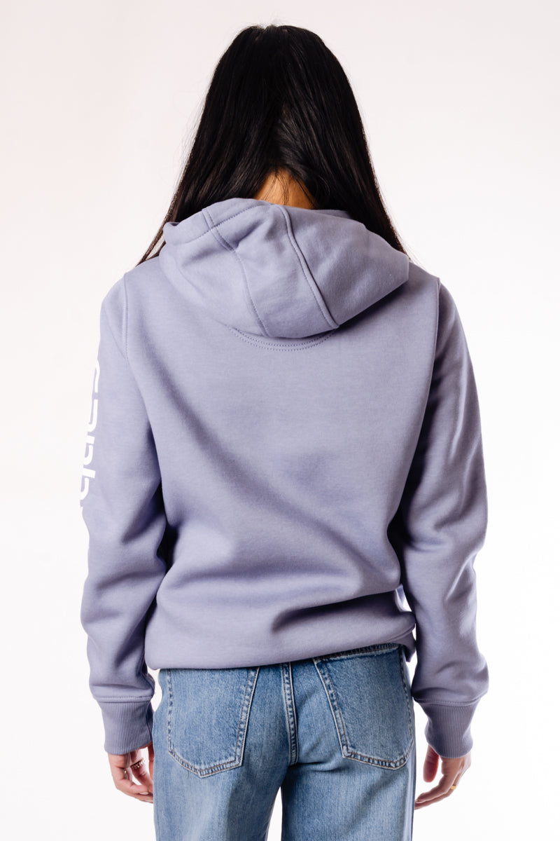Clarksburg Graphic Sleeve Hoodie - WIS