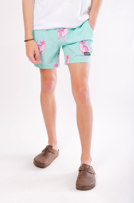 Dinosaur Swim Shorts - GRN