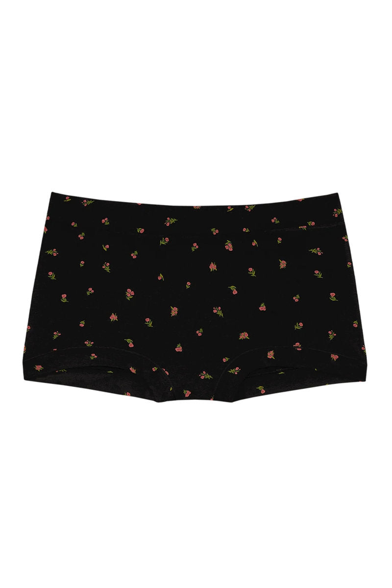 Boxer - Midnight Rose - MNR