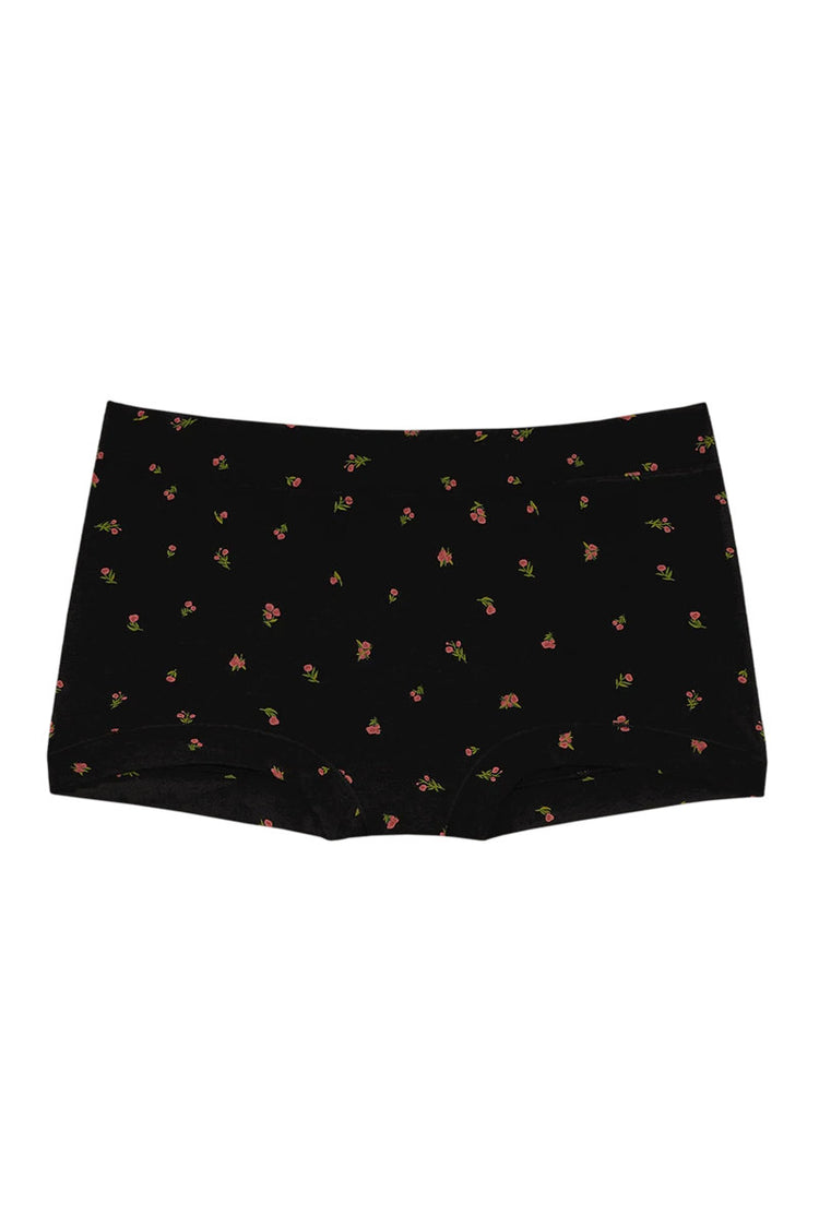 Boxer - Midnight Rose - MNR
