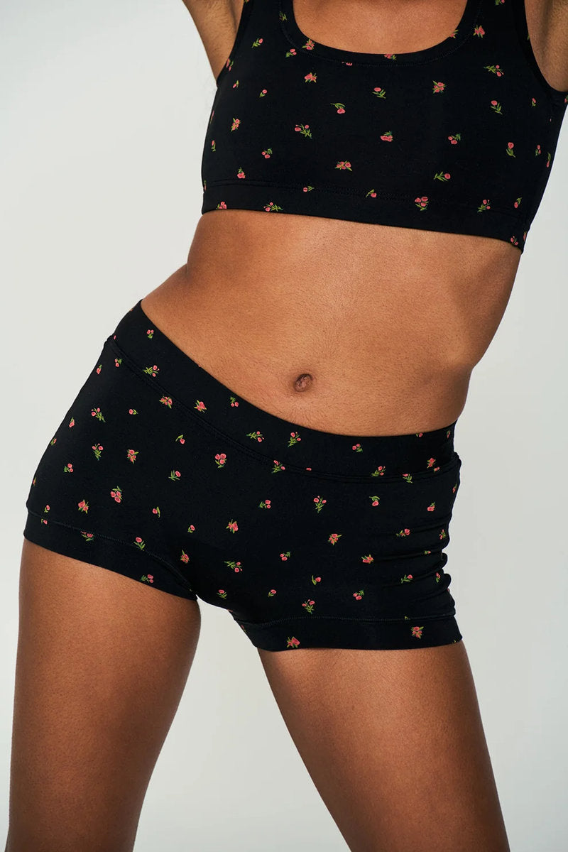Boxer - Midnight Rose - MNR