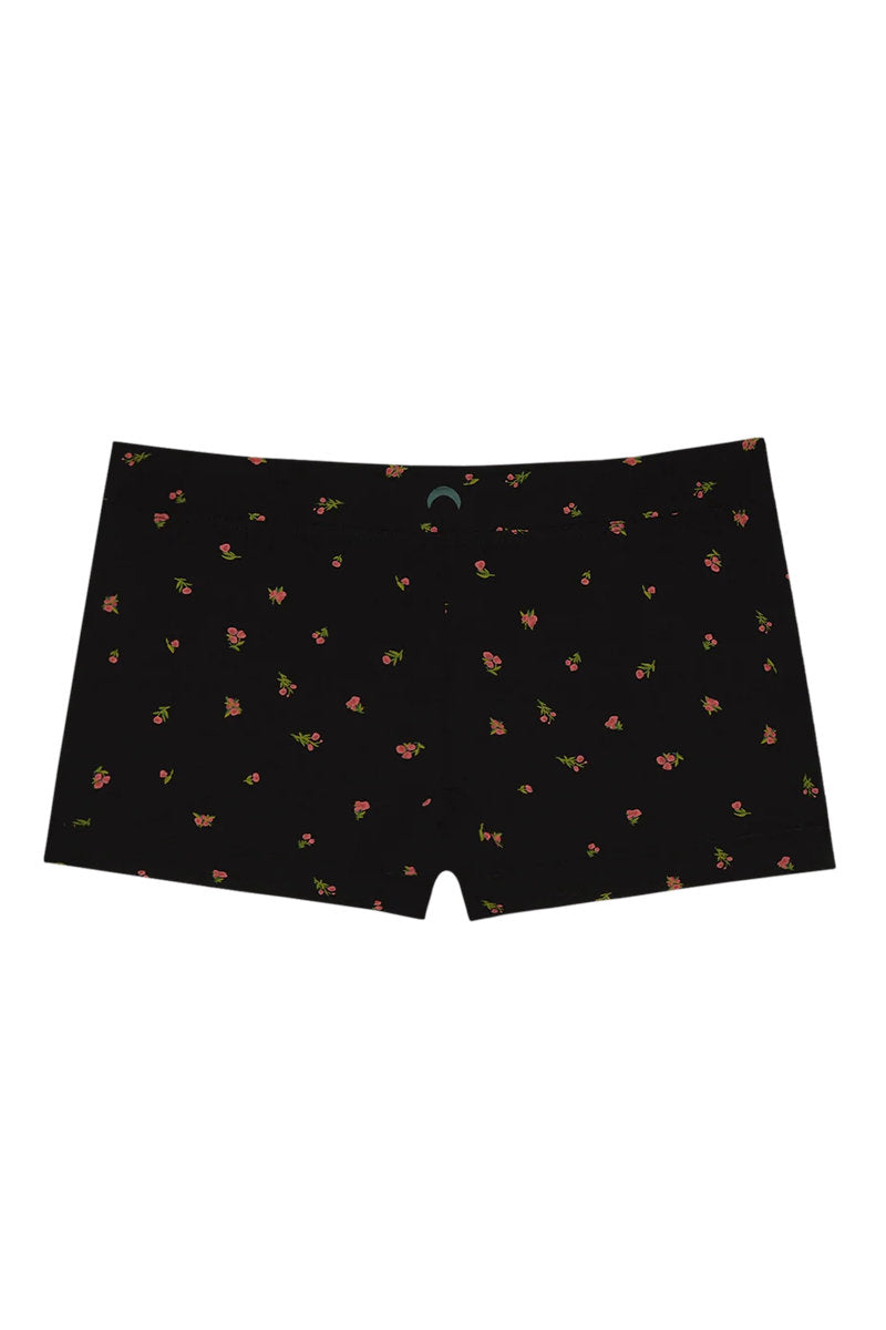 Boxer - Midnight Rose - MNR