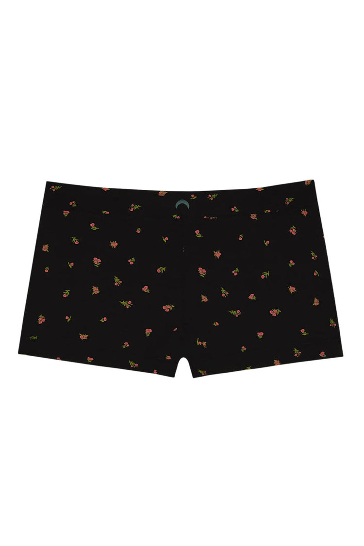 Boxer - Midnight Rose - MNR