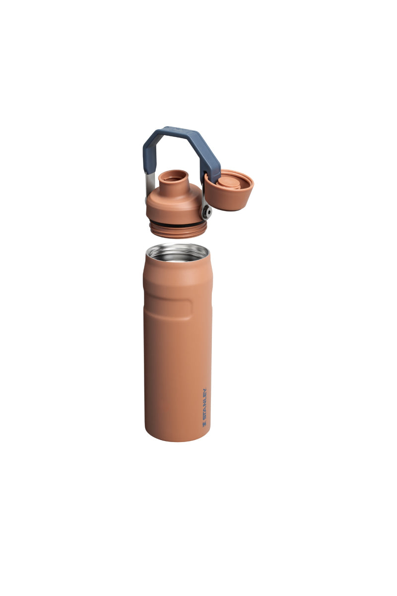 Iceflow Aerolight Bottle With Cap 24 oz - Toast - TST