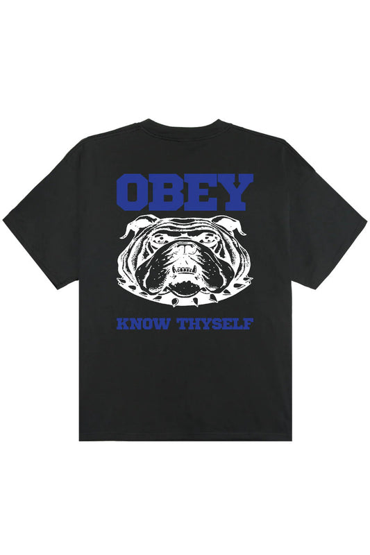 Know Thyself Heavyweight Tee - VBL