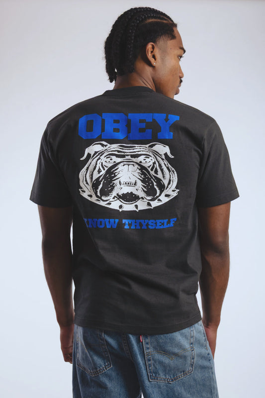 Know Thyself Heavyweight Tee - VBL