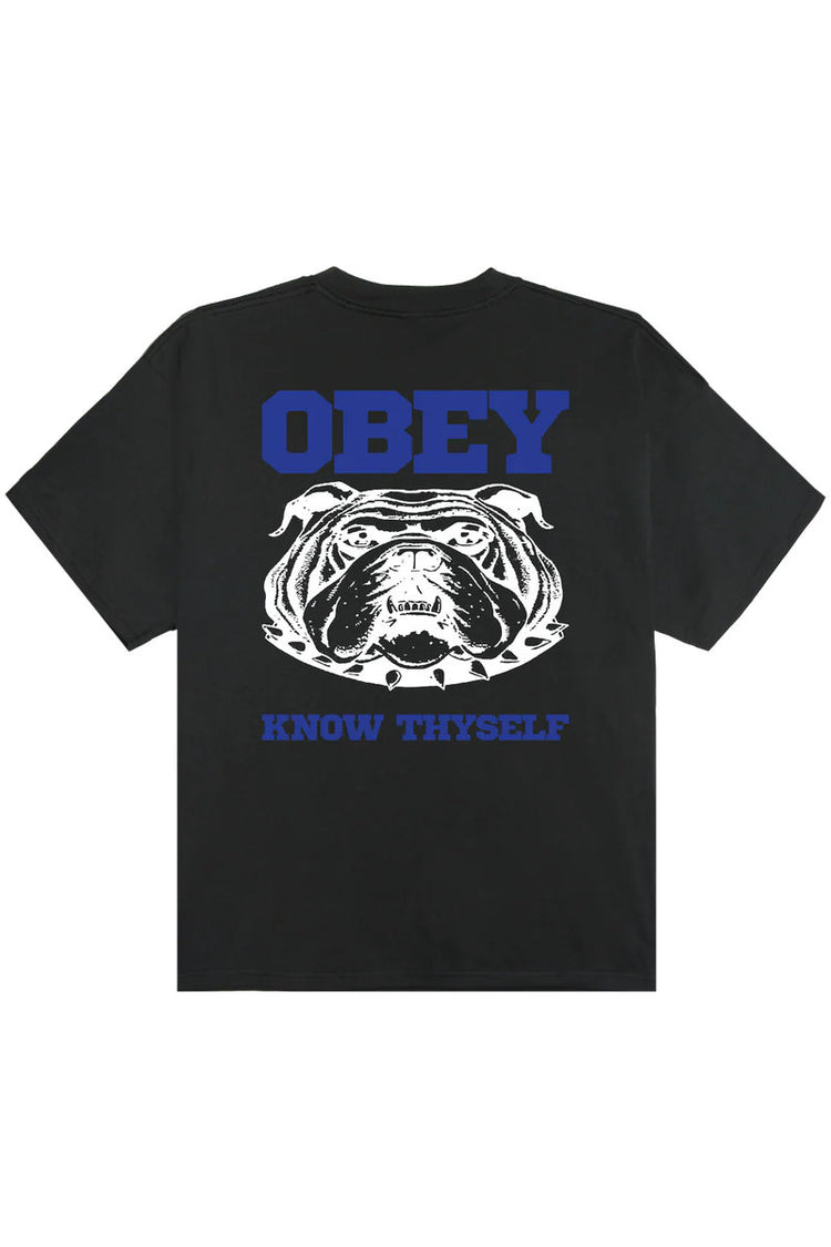 Know Thyself Heavyweight Tee - VBL