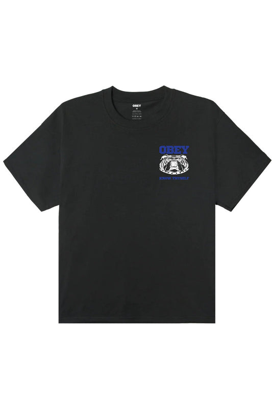Know Thyself Heavyweight Tee - VBL