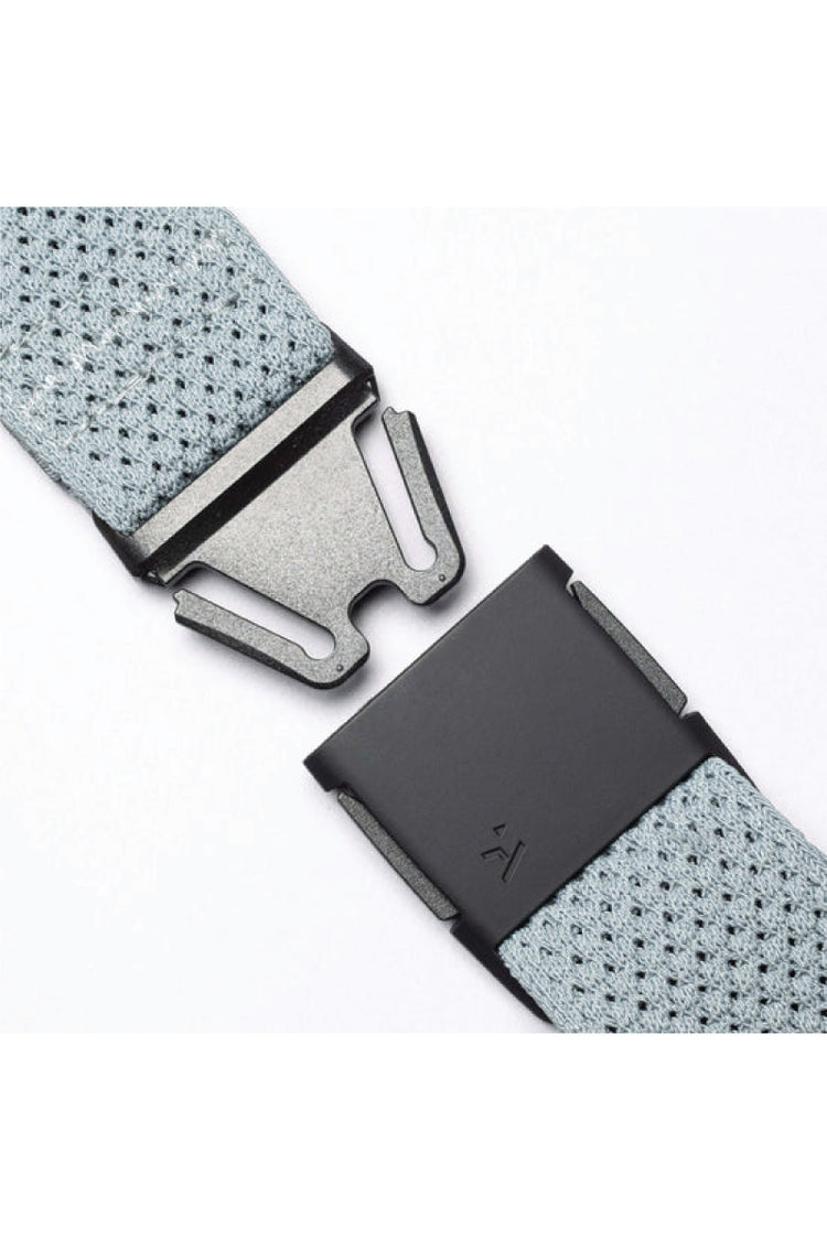 Momentum Belt - CLD