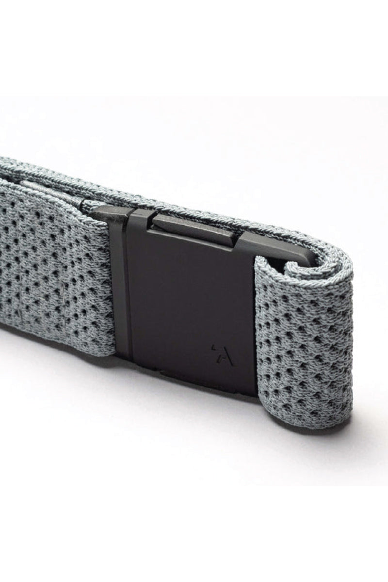 Momentum Belt - CLD