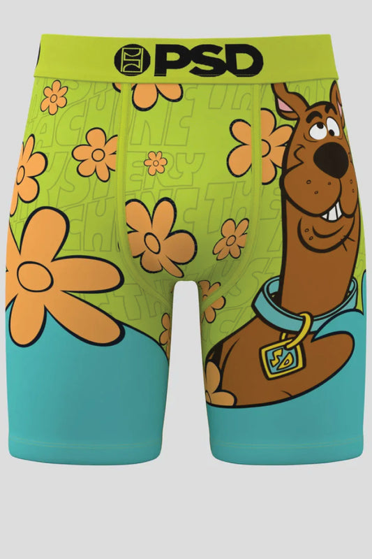 Mystery Scoob Boxer Brief - MSB