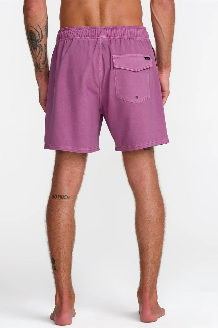 Pigment Elastic 16 Volley Shorts - RSW