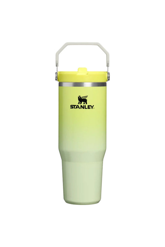 Iceflow Flip Straw Tumbler 30 oz - Atomic Gradient - ATG
