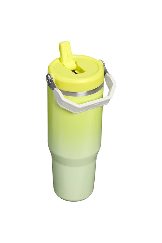 Iceflow Flip Straw Tumbler 30 oz - Atomic Gradient - ATG