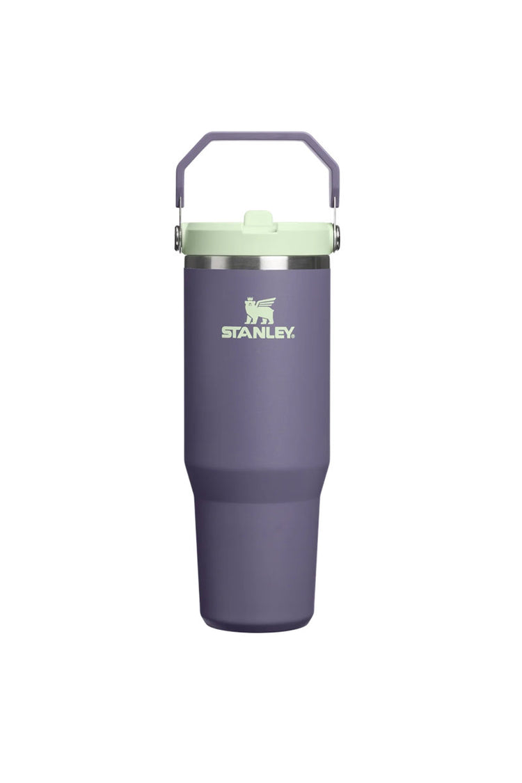 Iceflow Flip Straw Tumbler 30 oz - Purple Umbra - PUM
