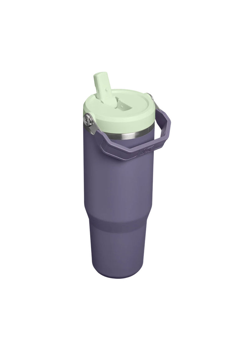 Iceflow Flip Straw Tumbler 30 oz - Purple Umbra - PUM