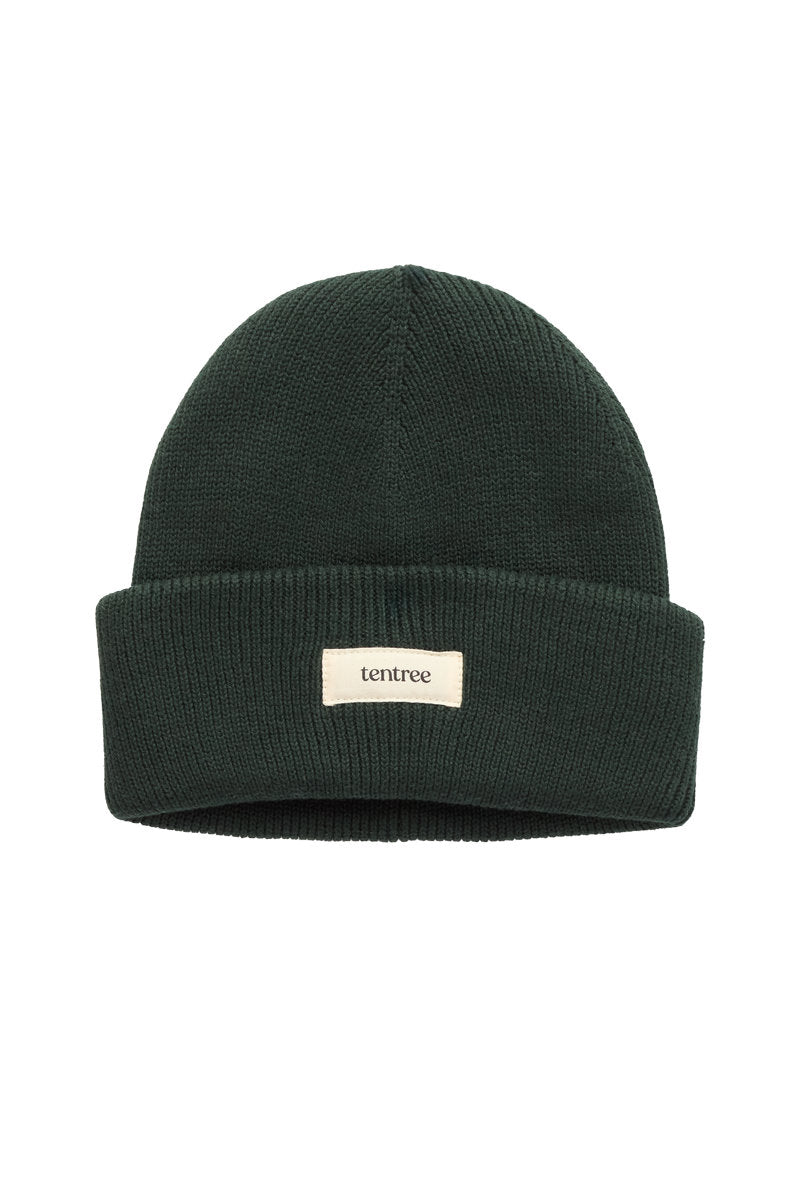 Alden Beanie - GRN