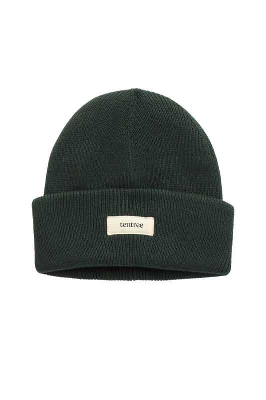 Alden Beanie - GRN