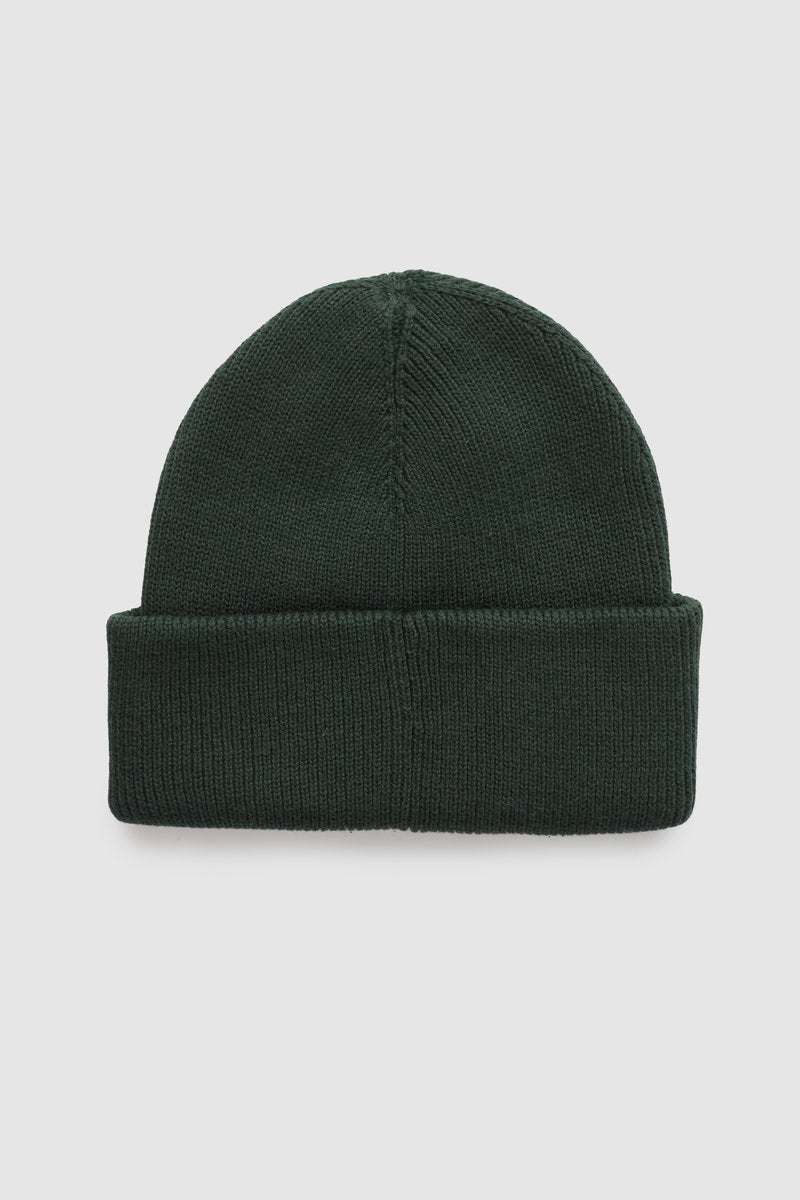 Alden Beanie - GRN