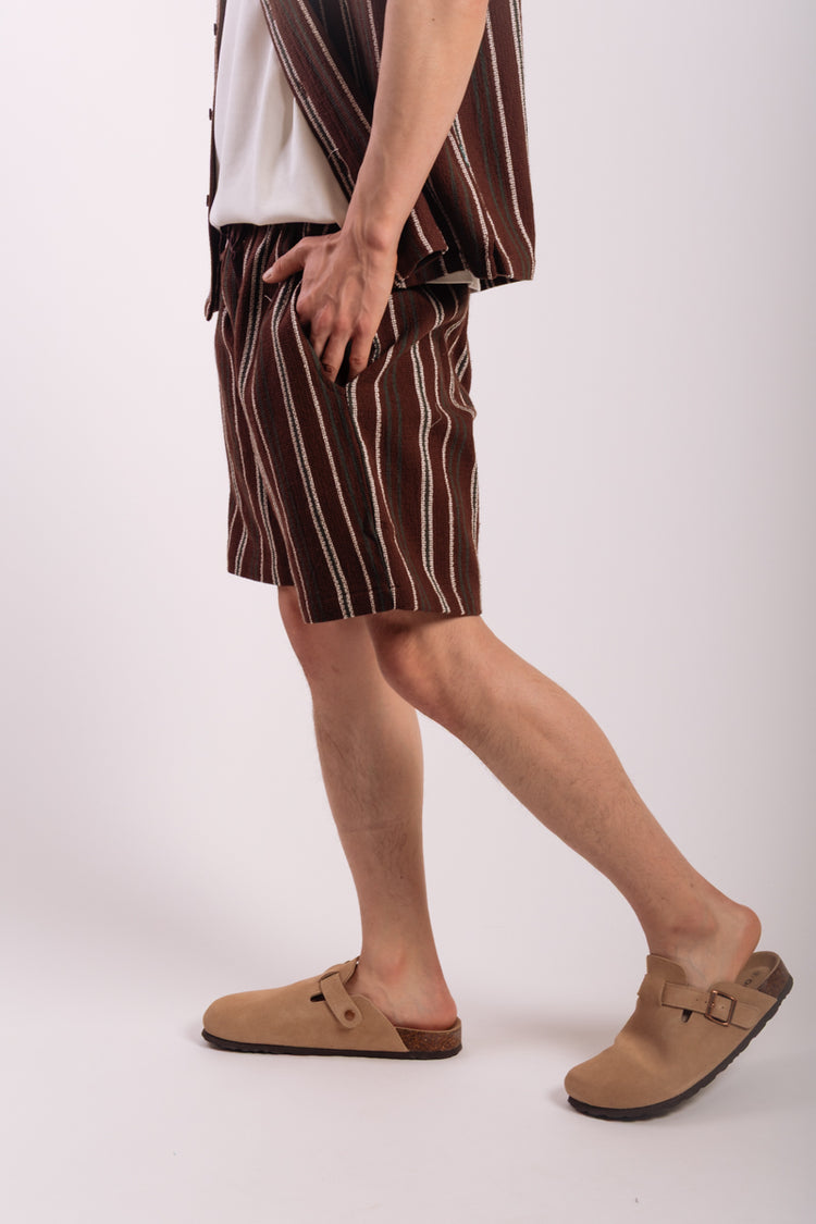 Textured Stripe Shorts - BRN