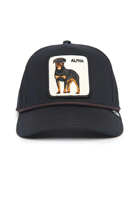 Unisex Alpha Dog 100 Hat - BLK