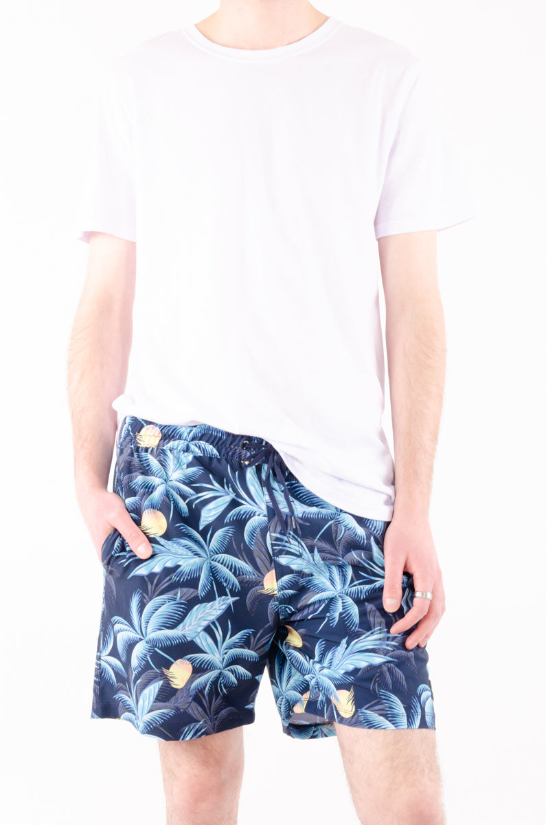 Cannonball Volley Boardshorts - 451