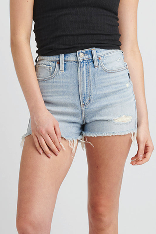 Highly Desirable High Rise Shorts - 106