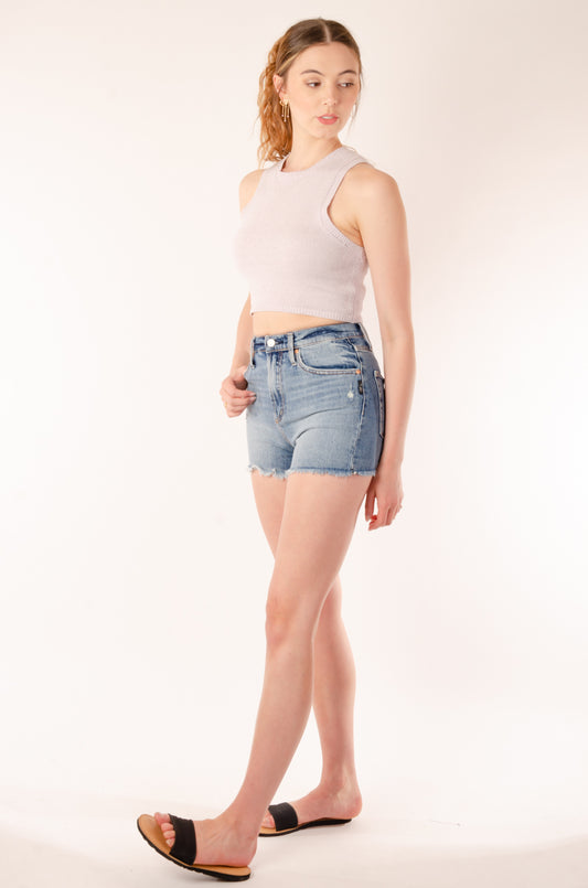 Highly Desirable High Rise Shorts - 262