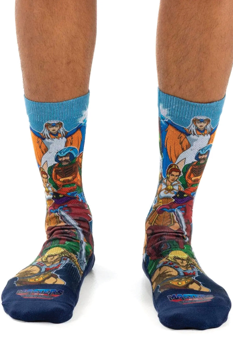 Masters Of The Universe Heroes Sock