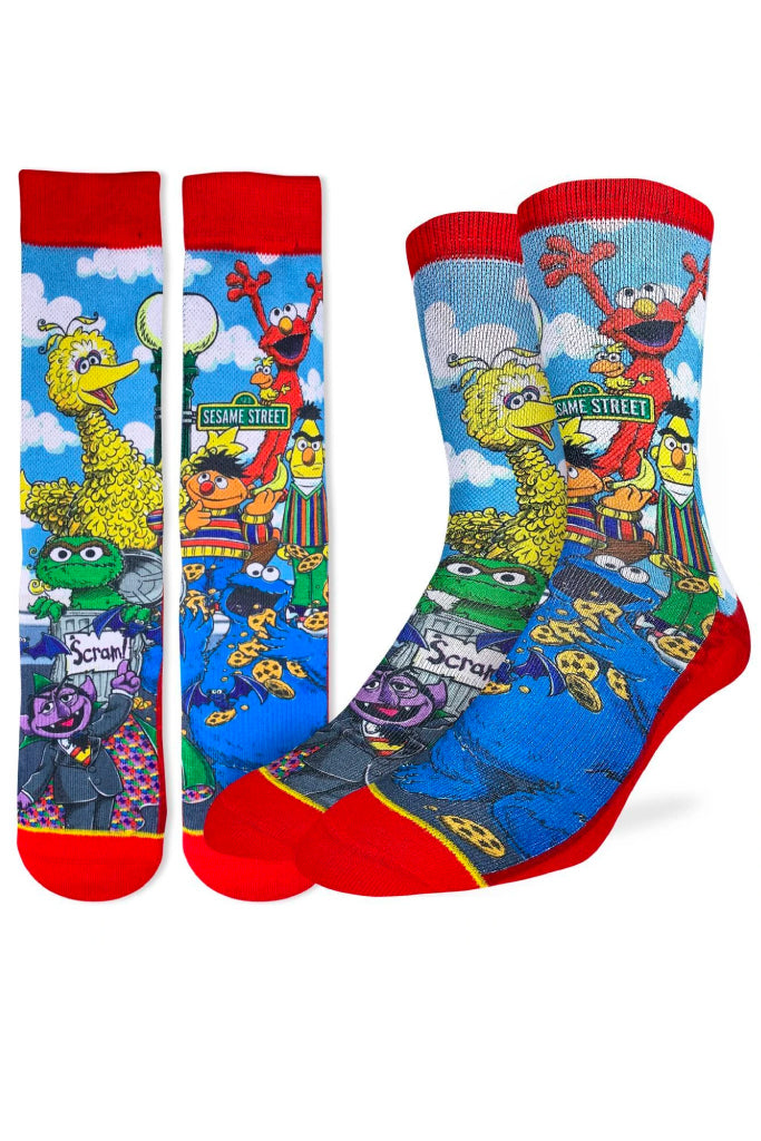 Sesame Street Family Sock - MUL